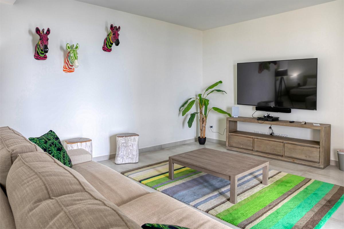 7 bedrooms luxury villa rental St Martin - TV Bedroom 2